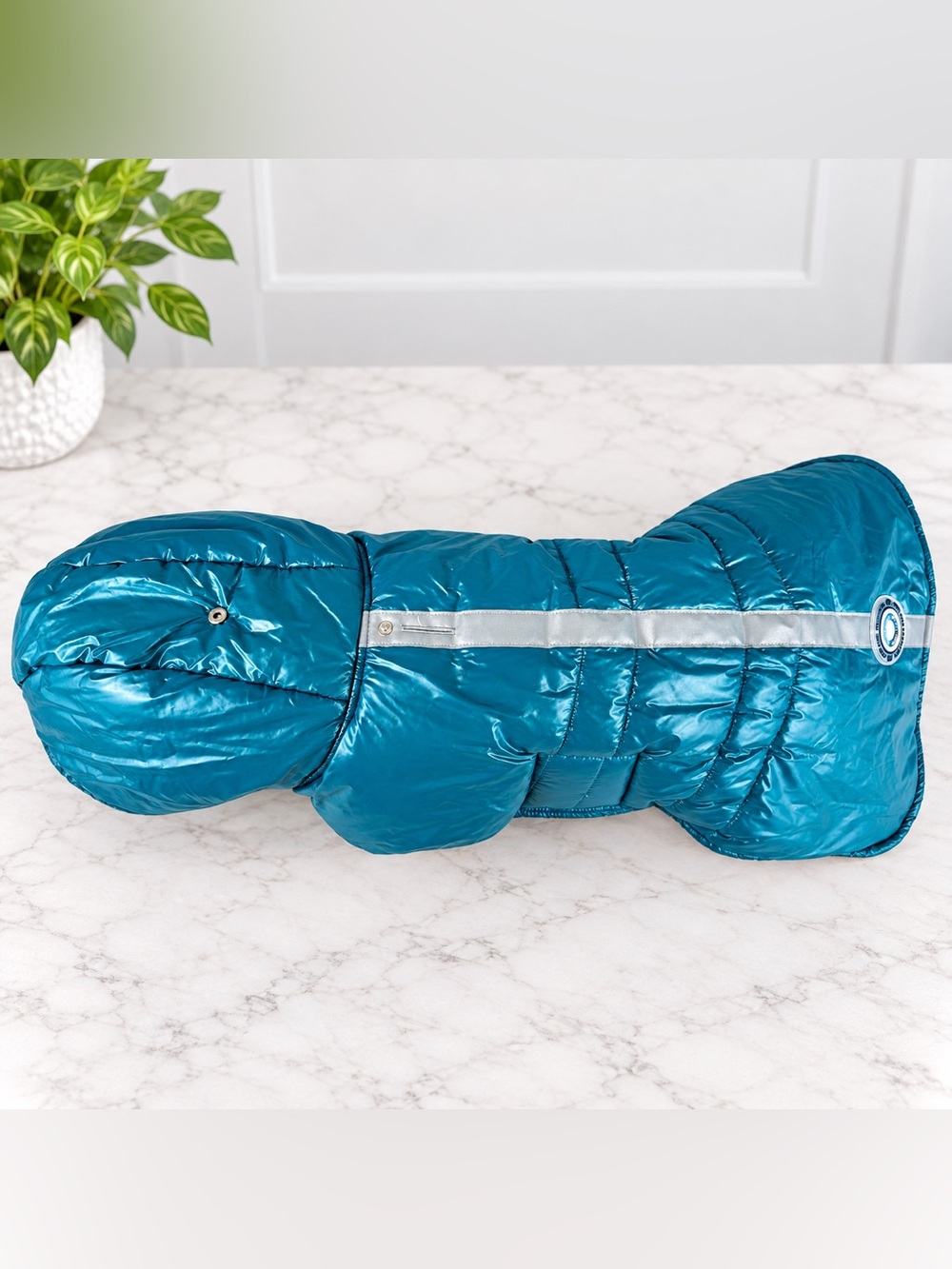 Silver Paw L/XL Insulated Winter Dog Coat Teal Orange Reflective